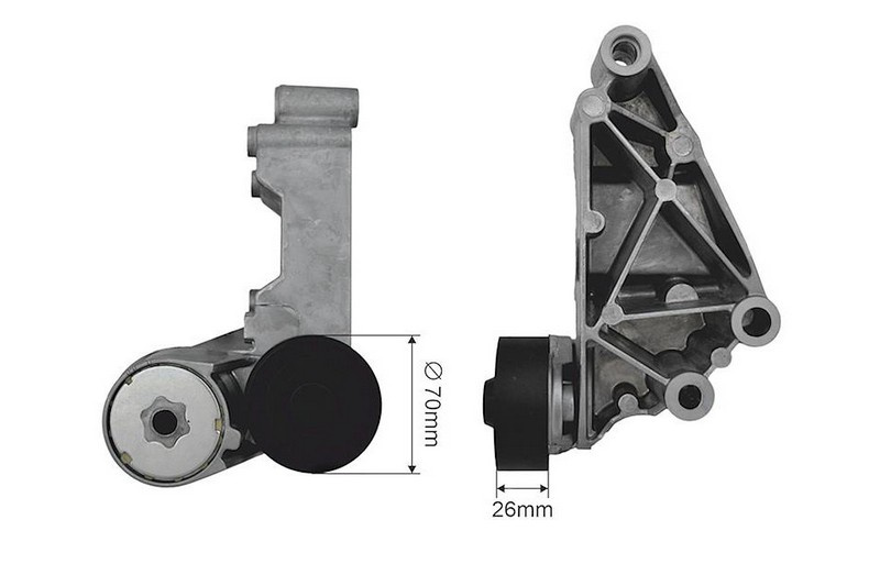 INTINZATOR CUREA DISTRIBUTIE FORD TRANSIT CONNECT 