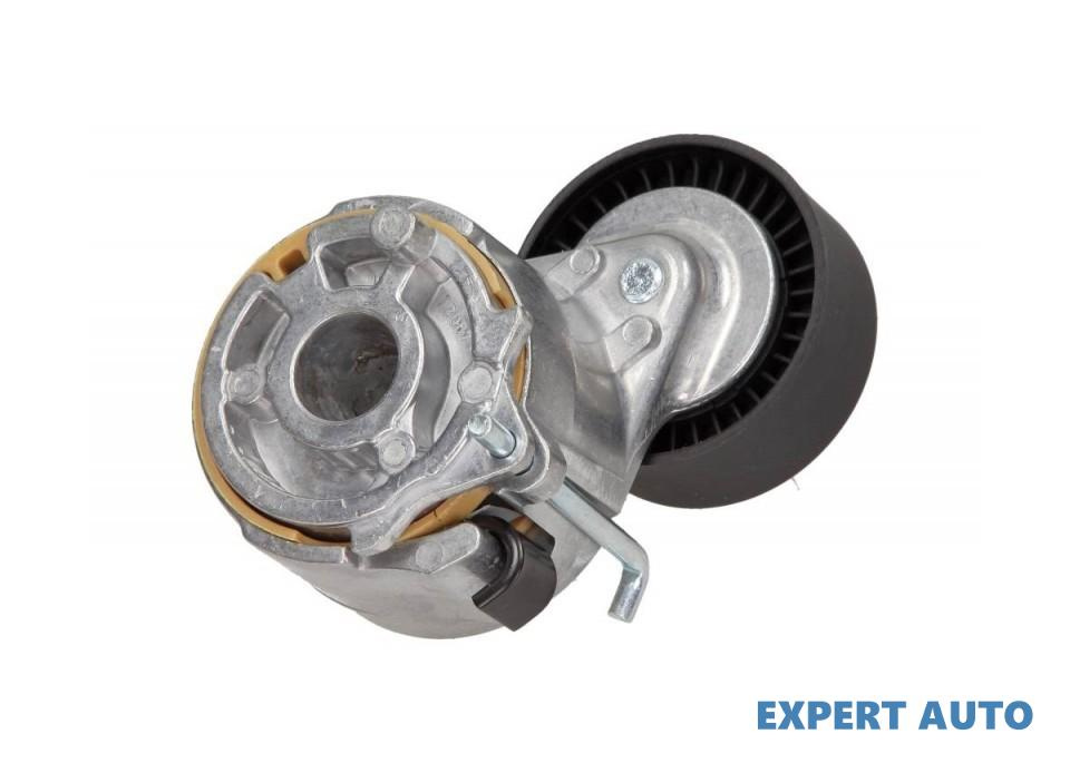 Intinzator curea Fiat PUNTO Van (199) 2008-2016 #2 0380718