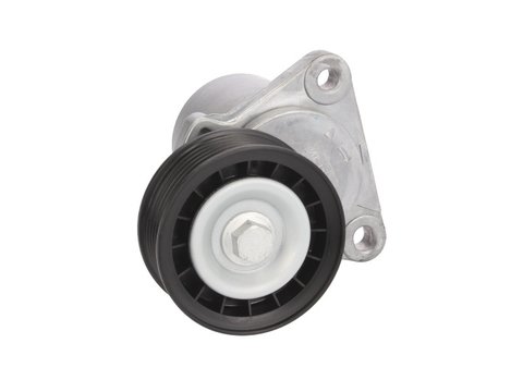 Intinzator curea FORD GALAXY; FORD MONDEO III, IV, S-MAX, TRANSIT; VOLVO S80 II, V70 III 1.8/2.0/2.3