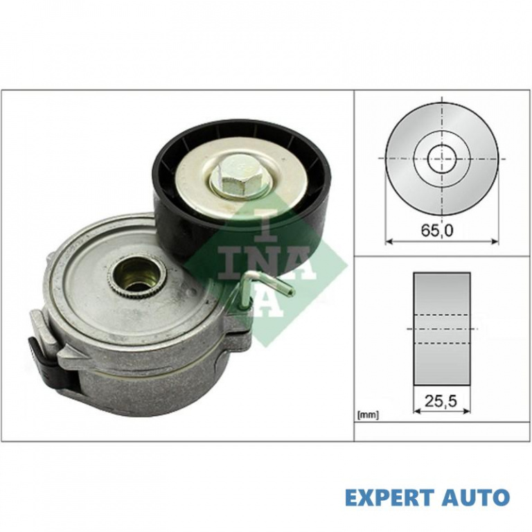 Intinzator curea Ford GRAND C-MAX (DXA/CB7, DXA/CE