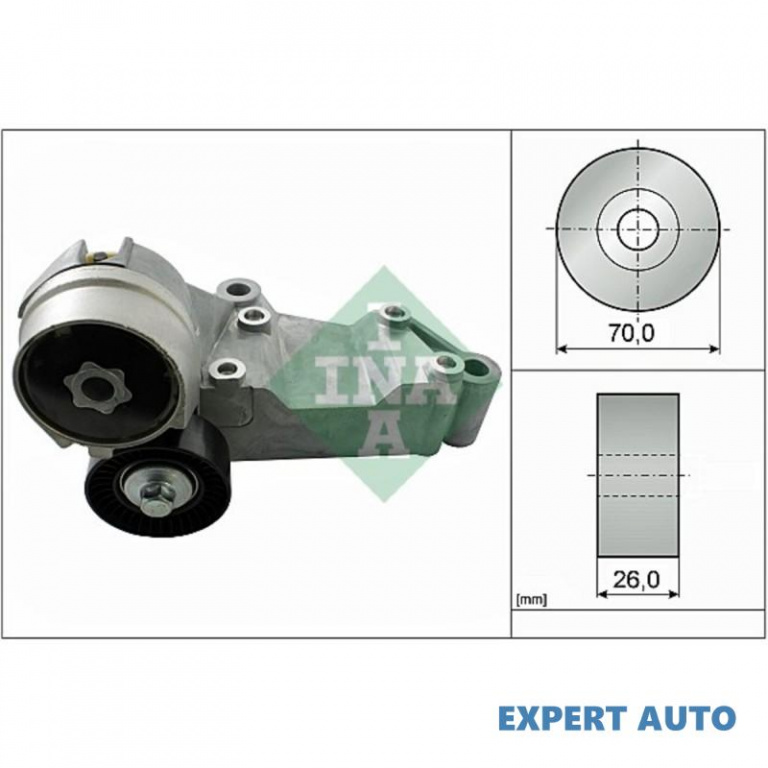 Intinzator curea Ford TOURNEO CONNECT 2002-2016 #2 1069359