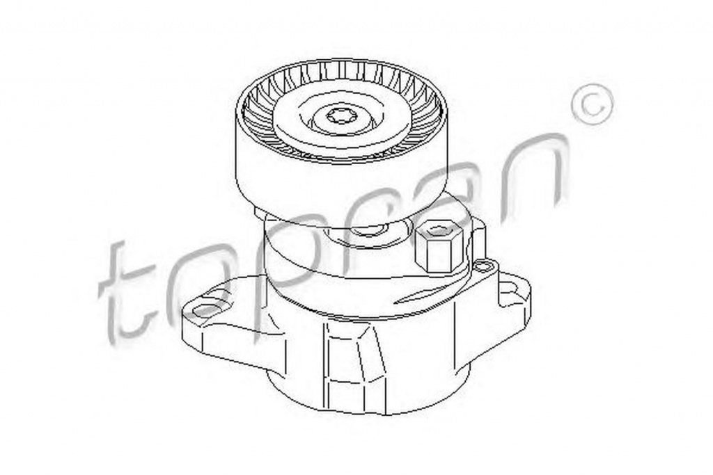 Intinzator curea MERCEDES-BENZ E-CLASS W211 TOPRAN 407858