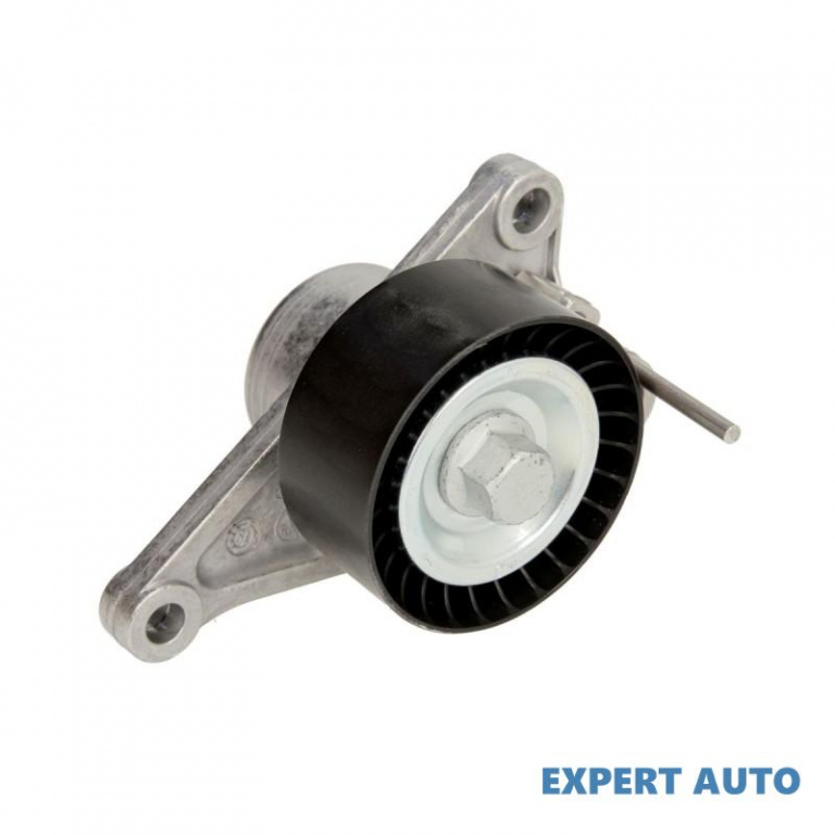 Intinzator curea Renault ESPACE Mk IV (JK0/1_) 2002-2016 #2 117500969R