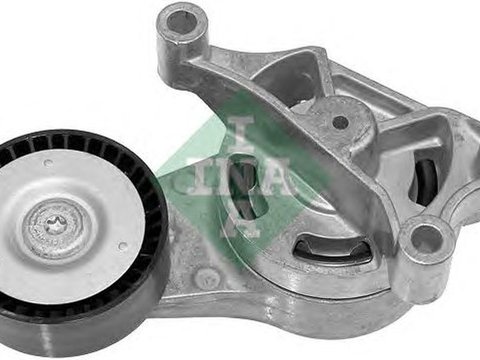 Intinzator curea SEAT LEON 1P1 INA 534018610