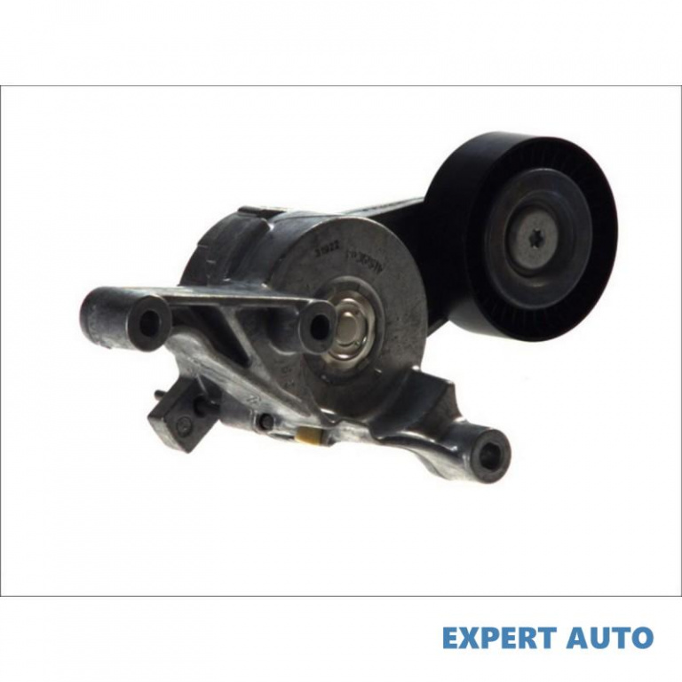 Intinzator curea Seat SEAT IBIZA V SPORTCOUPE (6J1, 6P1) 2008-2016 #2 03G903315C