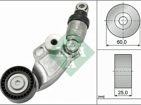 Intinzator curea transmisie 533 0128 10 INA pentru Mazda 3 Mazda Cx-5