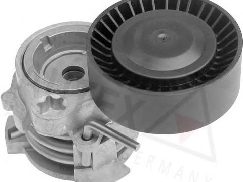 Intinzator,curea transmisie BMW 5 limuzina (E39), BMW 5 Touring (E39), BMW 3 limuzina (E46) - AUTEX 602048