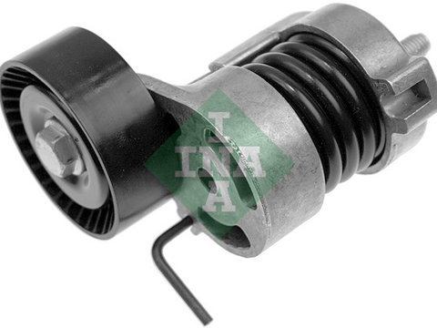 Intinzator,curea transmisie BMW Z4 2005-2009 INA 534017710