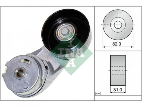 Intinzator,curea transmisie Chevrolet CAPTIVA (C100, C140) 2006-2016 #2 12605175