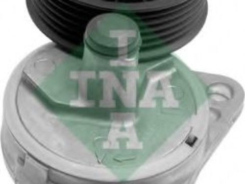 Intinzator,curea transmisie FORD TRANSIT CONNECT (P65_, P70_, P80_) (2002 - 2016) INA 534 0130 20