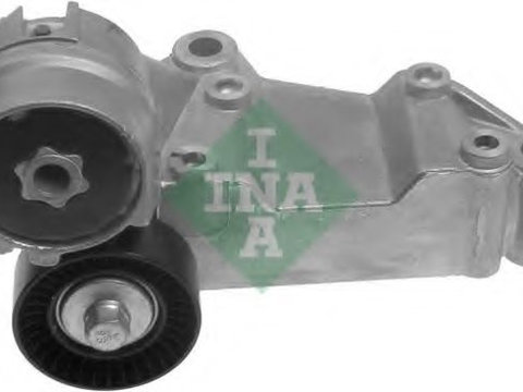 Intinzator curea transmisie FORD TRANSIT CONNECT (P65_, P70_, P80_) (2002 - 2016) INA 534 0146 10