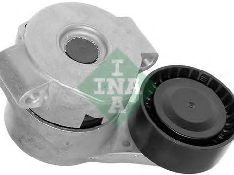 Intinzator curea transmisie FORD TRANSIT CUSTOM caroserie (2012 - 2016) INA 534 0308 10