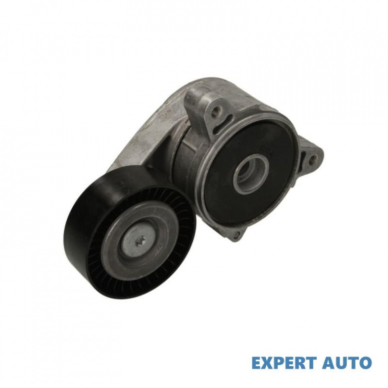 Intinzator,curea transmisie Jeep COMPASS (MK49) 20