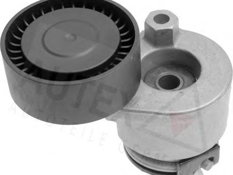 Intinzator,curea transmisie RENAULT KANGOO (KC0/1_), RENAULT CLIO Mk II (BB0/1/2_, CB0/1/2_), RENAULT KANGOO Rapid (FC0/1_) - AUTEX 601994