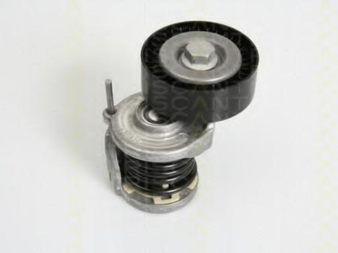 Intinzator,curea transmisie SKODA FABIA (6Y2), SKODA FABIA Combi (6Y5), AUDI A4 (8E2, B6) - TRISCAN 8641 293021