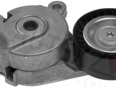 Intinzator,curea transmisie VW POLO (9N_), SEAT IBIZA Mk IV (6L1), VW TOURAN (1T1, 1T2) - AUTEX 602075