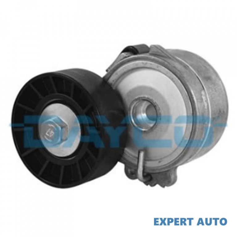 Intinzator distributie Citroen C5 I (DC_) 2001-2004 #2 100574