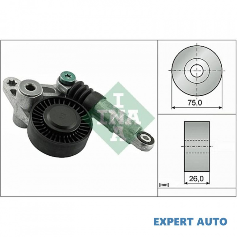 Intinzator distributie motor Audi AUDI A6 Avant (4F5, C6) 2005-2011 #8 059145201D