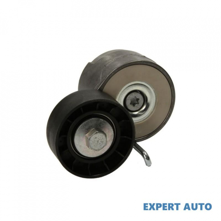 Intinzator distributie Opel MERIVA B 2010-2016 #2 101005