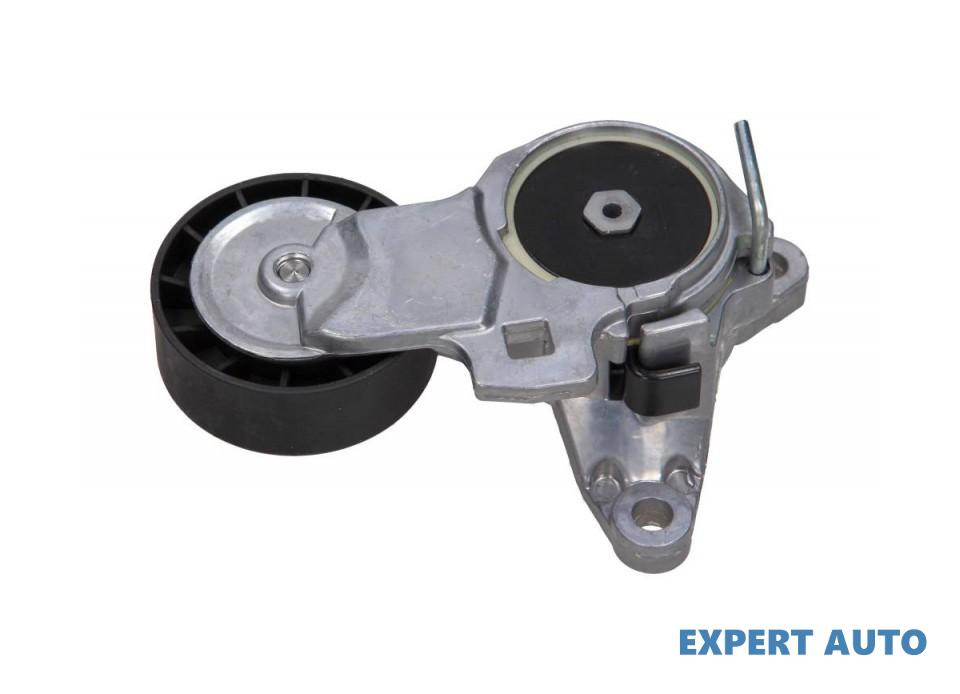 Intinzator distributie Peugeot 307 CC (3B) 2003-2016 #2 1611421380