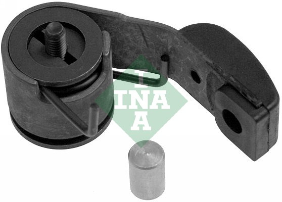 Intinzator,lant distributie (551019710 INA) DACIA,HYUNDAI,RENAULT,VOLVO