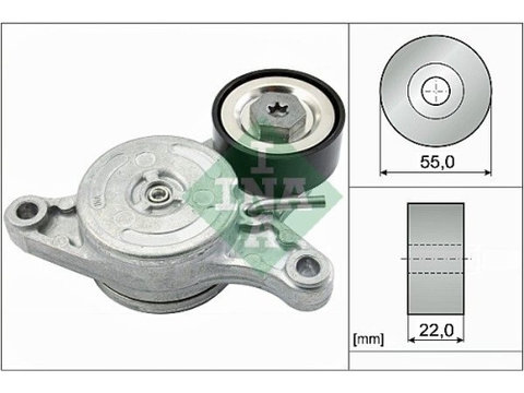 Intinzator Mini Mini, 2005-2013, Toyota Auris, 2013-, Avensis, 2009-2019, Rav 4 4, 2012-2018, Verso, 2009-2013, INA