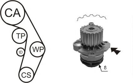 Kit distributie cu pompa apa VW SHARAN (7M8, 7M9, 7M6) (1995 - 2010) AIRTEX WPK-199805
