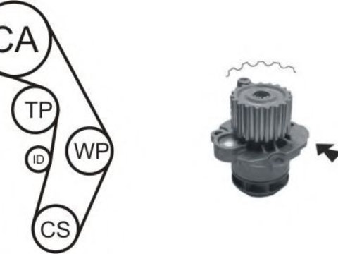 Kit distributie cu pompa apa VW TOURAN (1T1, 1T2) (2003 - 2010) AIRTEX WPK-177603