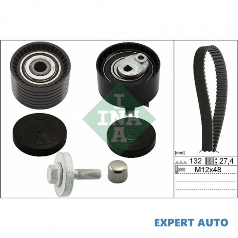 Kit distributie Renault MEGANE II (BM0/1_, CM0/1_)