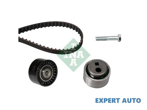 Kit distributie Rover 100 / METRO (XP) 1989-1998 #2 083146