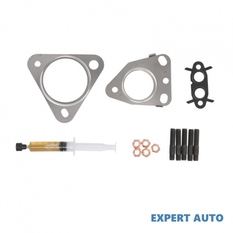 Kit garnituri turbo Renault SCENIC III (JZ0/1_) 2009-2016 #2 7650170001