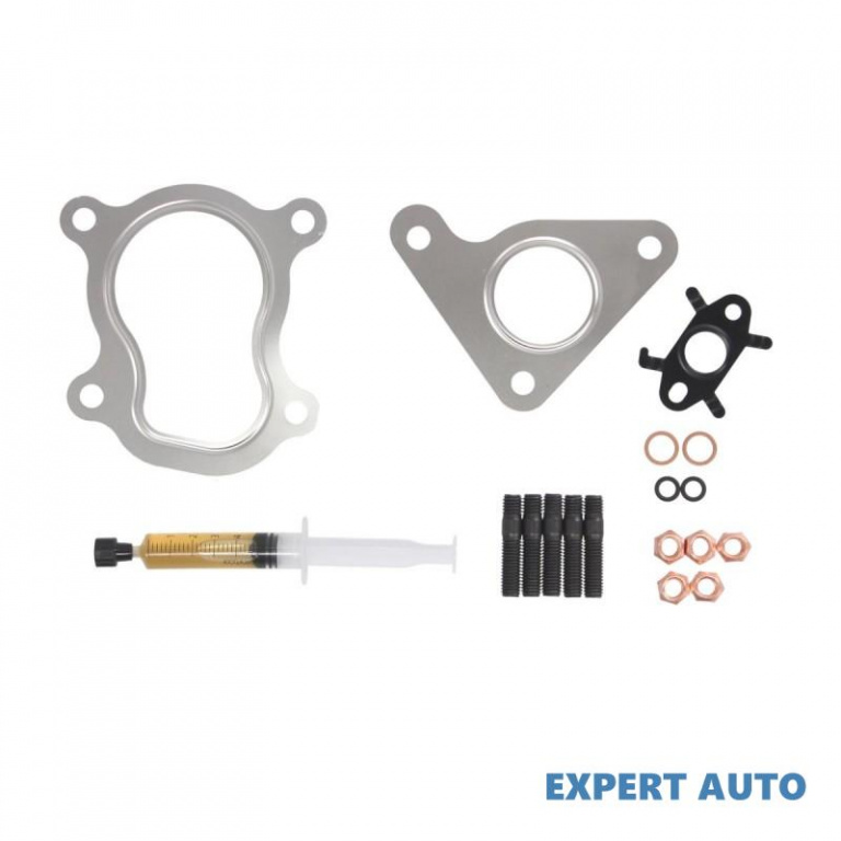 Kit garnituri turbo Renault TRAFIC II platou / sasiu (EL) 2001-2016 #2 011003401