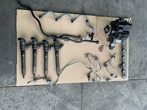 Kit injectie Nissan Qashqai 1.6 dci 2014-2019 cod rampa 175216420R pompa 0445010250 injector 0445110414 R9M