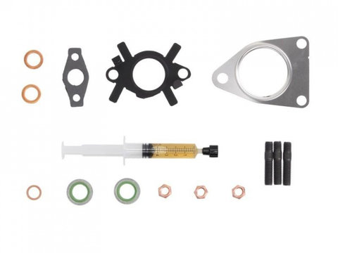 Kit montare turbo Ford S-Max (2006->) #2 041006101