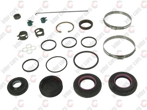 Kit reparatie / simeringuri caseta directie Chrysler Voyager DIRECTIE GEAR TRW