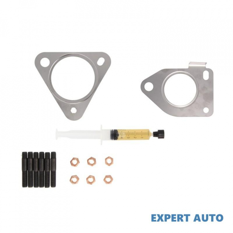 Kit turbosuflanta Renault SCENIC III (JZ0/1_) 2009