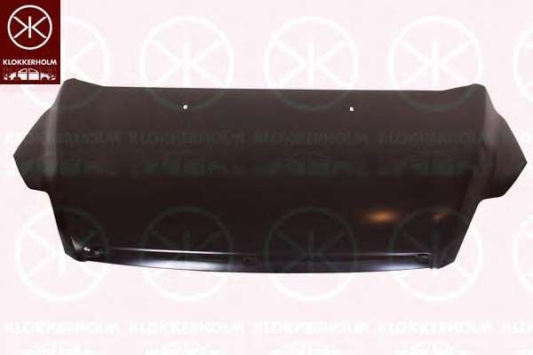 Klokerholm capota motor pt ford focus 2 dupa 2008