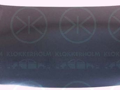 KLOKKERHOLM pt passat intre 2000-2005