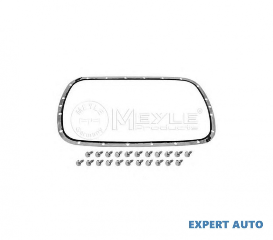 Lampa iluminare numar inmatriculare BMW X3 (E83) 2004-2016 #2 24111423587