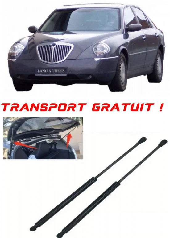 LANCIA THESIS (841_) - Set 2 amortizoare pentru portbagaj / haion compatibil cu LANCIA THESIS (841_) fabricat 2002 – 2009 STA467750-679