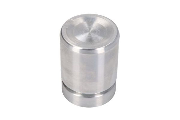 LAUBER Piston, etrier frana CQ71364816 montare puntea spate compatibil cu BMW Z3 Roadster (E36) 1995 1996 1997 1998 1999 2000 2001 2002 2003