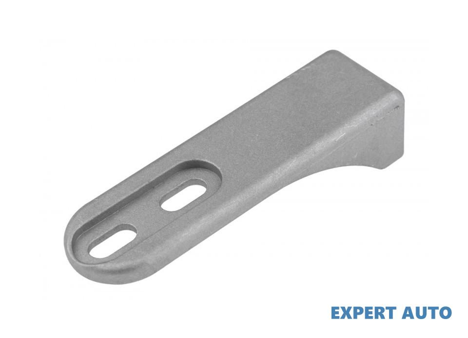 Limitator opritor prindere usa Fiat Ducato (2006->) [250] #1 1346547080