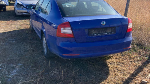 Litrometru Skoda Octavia 2 [facelift] [2