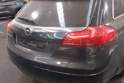 Luneta Opel Insignia Break 2010 Opel Insignia A [2