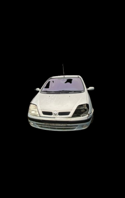 Macara geam fata dreapta manuala Renault Scenic [1
