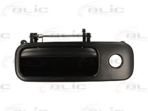 Maner haion SEAT ALHAMBRA (7V8, 7V9) (1996 - 2010) BLIC 6010-01-022417P