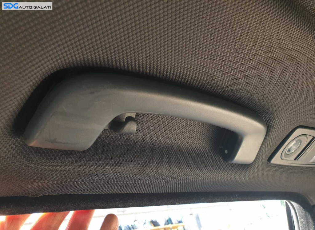 Maner Plafon Dreapta Fata Spate BMW Seria 5 F10 F1