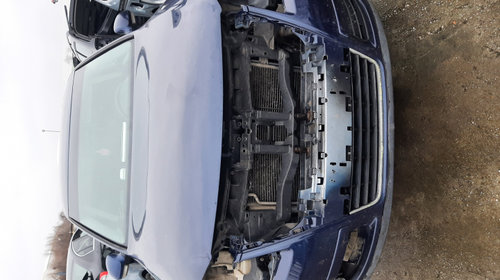 Maner plafon fata stanga Volkswagen Pass