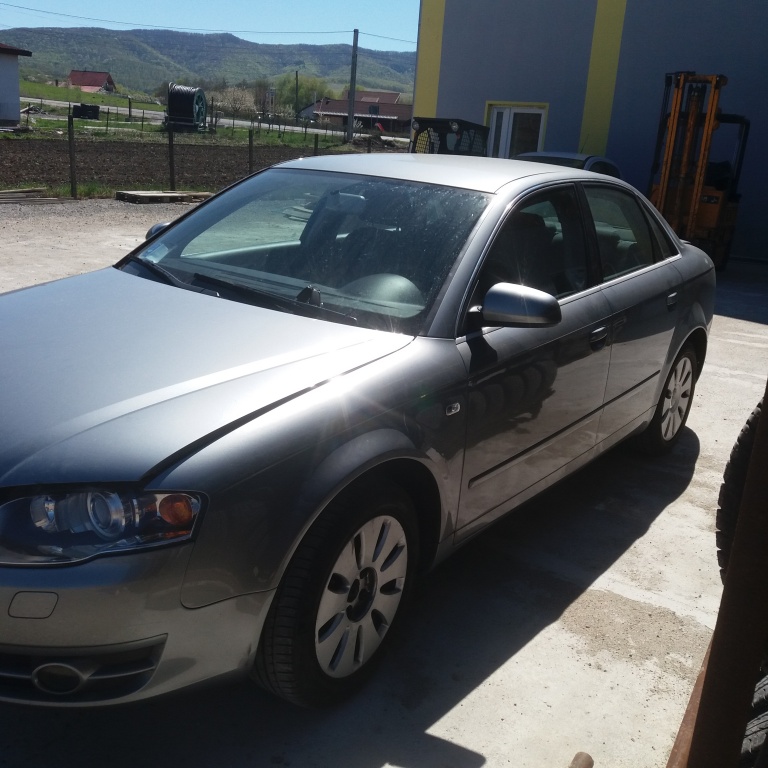 Maner usa dreapta fata Audi A4 B7 2006 b