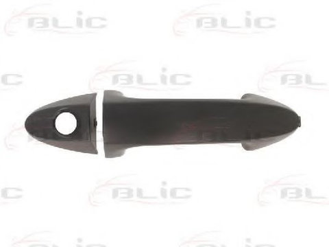 Maner usa FORD FIESTA VI Van (2009 - 2016) BLIC 6010-03-046401P